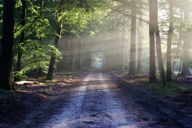 Asociatyvi nuotrauka iš Pexels.com